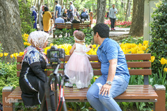 رویش در باغ ایرانی