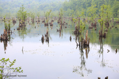 دریاچه ارواح