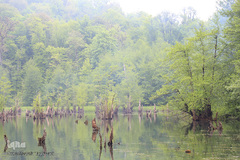 دریاچه ارواح