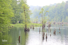 دریاچه ارواح