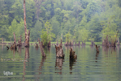 دریاچه ارواح