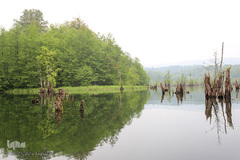 دریاچه ارواح