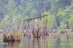 دریاچه ارواح