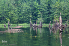 دریاچه ارواح