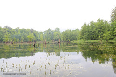 دریاچه ارواح