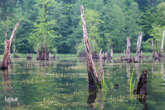 دریاچه ارواح