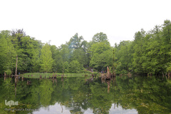 دریاچه ارواح