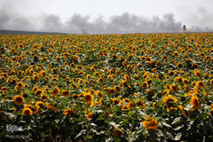 تظاهرات فلسطینیان معترض به انتقال سفارت آمریکا به بیت المقدس در نوار غزه