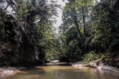 جنگل و رودخانه پلنگ دره