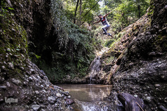 جنگل و رودخانه پلنگ دره