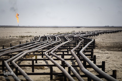 کمترین تحریری از یک زندگانی