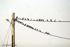 کمترین تحریری از یک زندگانی