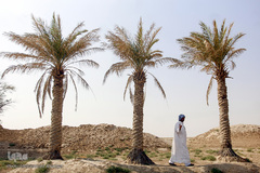 کمترین تحریری از یک زندگانی