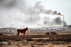 کمترین تحریری از یک زندگانی