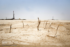 کمترین تحریری از یک زندگانی