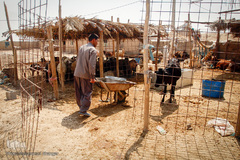 کمترین تحریری از یک زندگانی