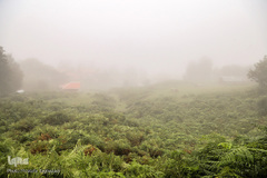 ييلاق اولس بلنگاه در ماسال