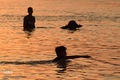 اینجا گاومیش‌آباد؛ محرومیت در خاک و آب و کسب روزی حلال