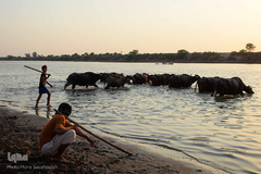 اینجا گاومیش‌آباد؛ محرومیت در خاک و آب و کسب روزی حلال