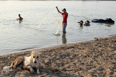 اینجا گاومیش‌آباد؛ محرومیت در خاک و آب و کسب روزی حلال