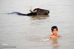 اینجا گاومیش‌آباد؛ محرومیت در خاک و آب و کسب روزی حلال