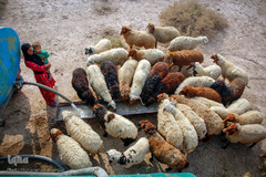 آبرسانی به روستاهای هویزه