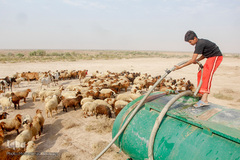 آبرسانی به روستاهای هویزه