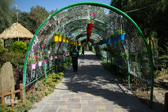 نمایشگاه گل و گیاه كرج