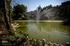 نمایشگاه گل و گیاه كرج