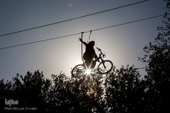 نمایشگاه گل و گیاه كرج