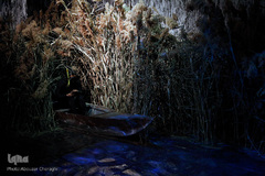 باغ موزه دفاع مقدس تهران