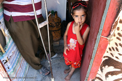 دختر یکی از خانواده های مستاجر زلزله زده در محله زعفران سر پل ذهاب که پدر وی بعلت آسیب دیدگی در حادثه زلزله در معرض  قطع عضو پا قرار گرفته است