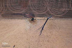 بحرانی که نمی بینم / خشکسالی