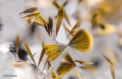 سوزن‌های اکسید آهن روی سنگ کوهی در معدن‌های انتاریو کانادا با بزرگ‌نمایی ۱۰ برابر