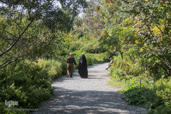 باغ گیاه شناسی ملی ایران