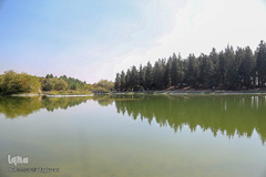 باغ گیاه شناسی ملی ایران