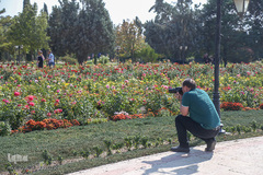 باغ گیاه شناسی ملی ایران