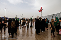 راهپیمایی اربعین حسینی مسیر نجف، کربلا