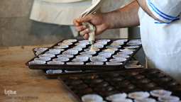 حال و هوای موکب حرم حضرت معصومه(س)در طریق نجف به کربلا⁩