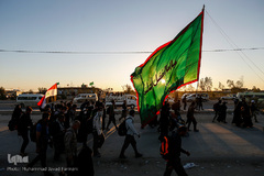 راهپیمایی اربعین مسیر نجف، کربلا / ۲