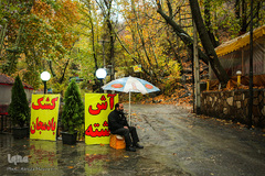 پاییز در جاغرق