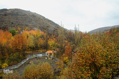 پاییز در جاغرق