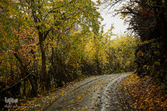 پاییز در جاغرق