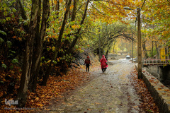 پاییز در جاغرق