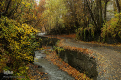 پاییز در جاغرق