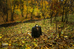 پاییز در جاغرق