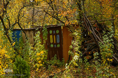 پاییز در جاغرق