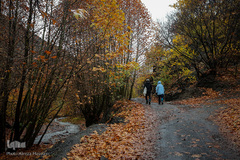 پاییز در جاغرق