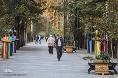 تنهاییِ همراهی