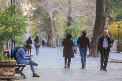 تنهاییِ همراهی